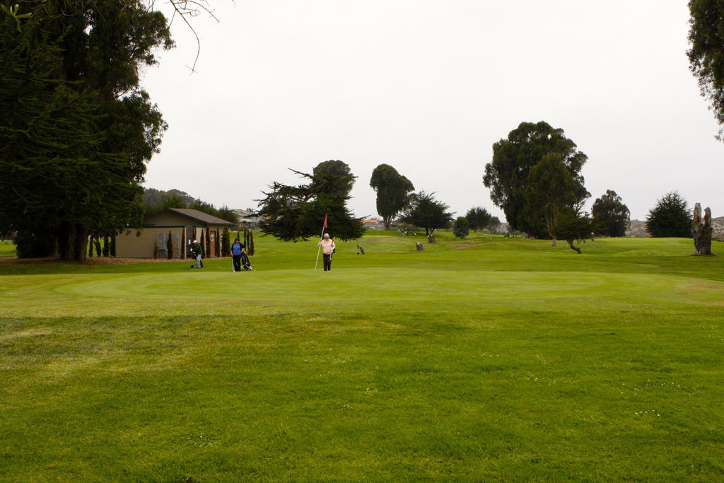 Sea Pines Golf 3*